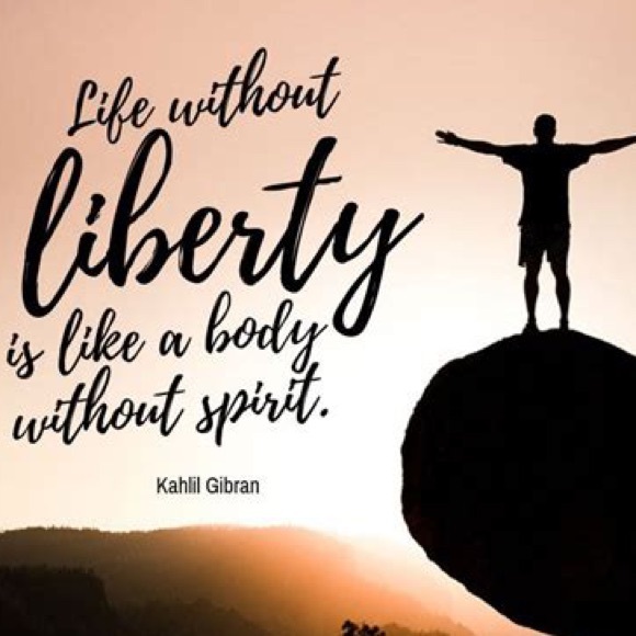 🪴🌻 Welcome! 🍄🌿 - Picture 14 of 17